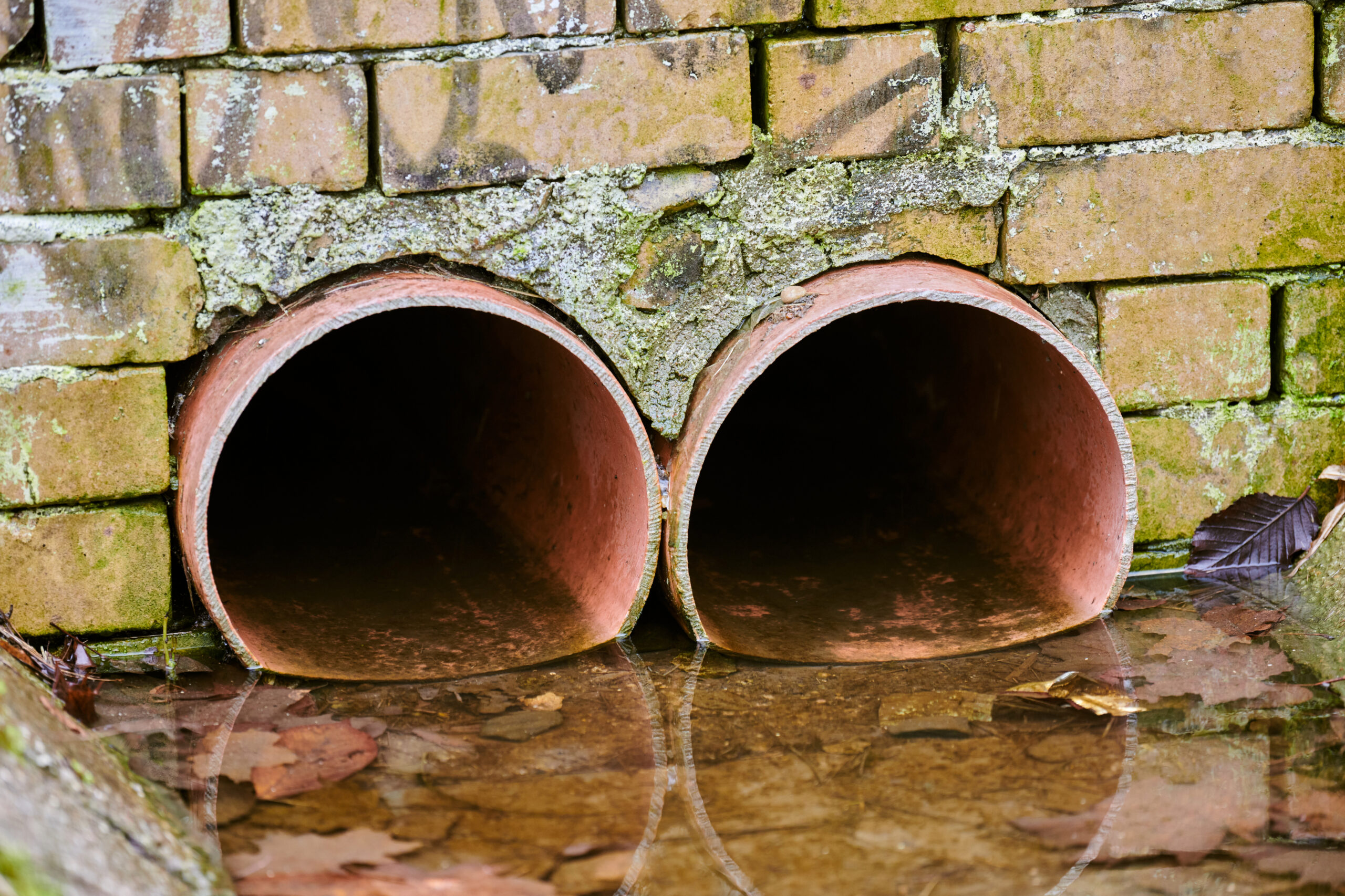 Crawl Space Maintenance